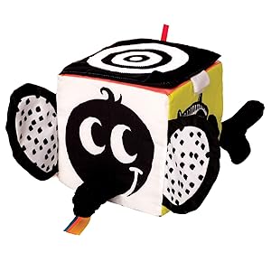 Amazon.com: Manhattan Toy Wimmer-Ferguson Learning Cube