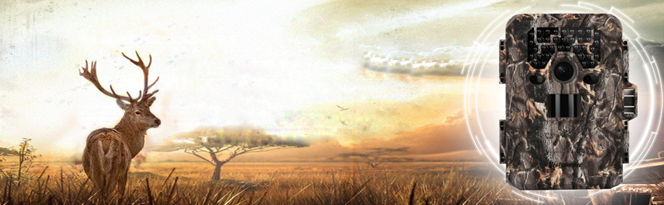 Amazon.com : Bestguarder HD Waterproof IP66 Infrared Night