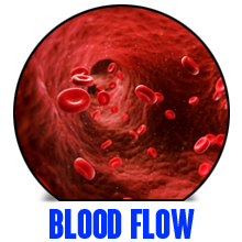 pump, blood flow, N.O., nitric oxide