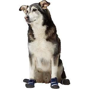 d67034e3 225b 4729 b6af e8fe38eae1f6. SR300,300