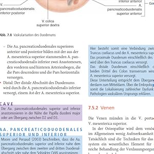 健康・医学 Fortgeschrittene viszerale Osteopathie Fortgeschrittene viszerale Osteopathie : Barral, Jean-Pierre
