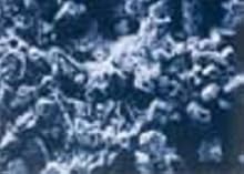 Small manufacture image 8