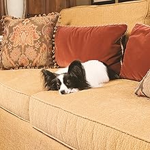 Amazon Com Petsafe Scatmat Indoor Pet Training Mat Extension 30