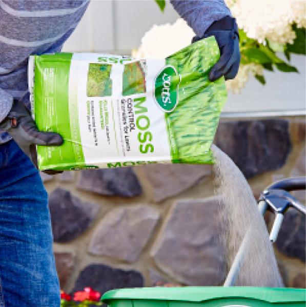 Scotts Moss Control Granules for Lawns, 5, 000sq ft, 18.