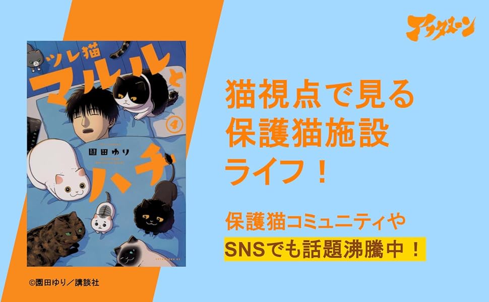 ねこぢる詰め合わせ 5冊 マルルとハチ】黒猫たち #コミックDAYS #野良猫 #保護猫 #地域猫