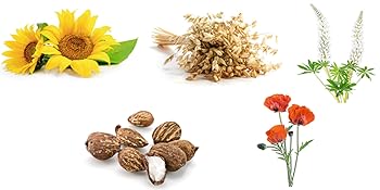 Small manufacture image 5