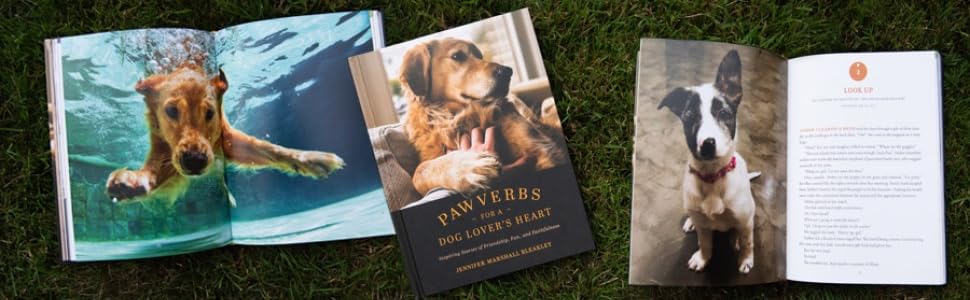 unbridled faith dogs joey animal rescue books animal devotional books animal therapy joey horse