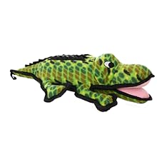 tuffy alligator