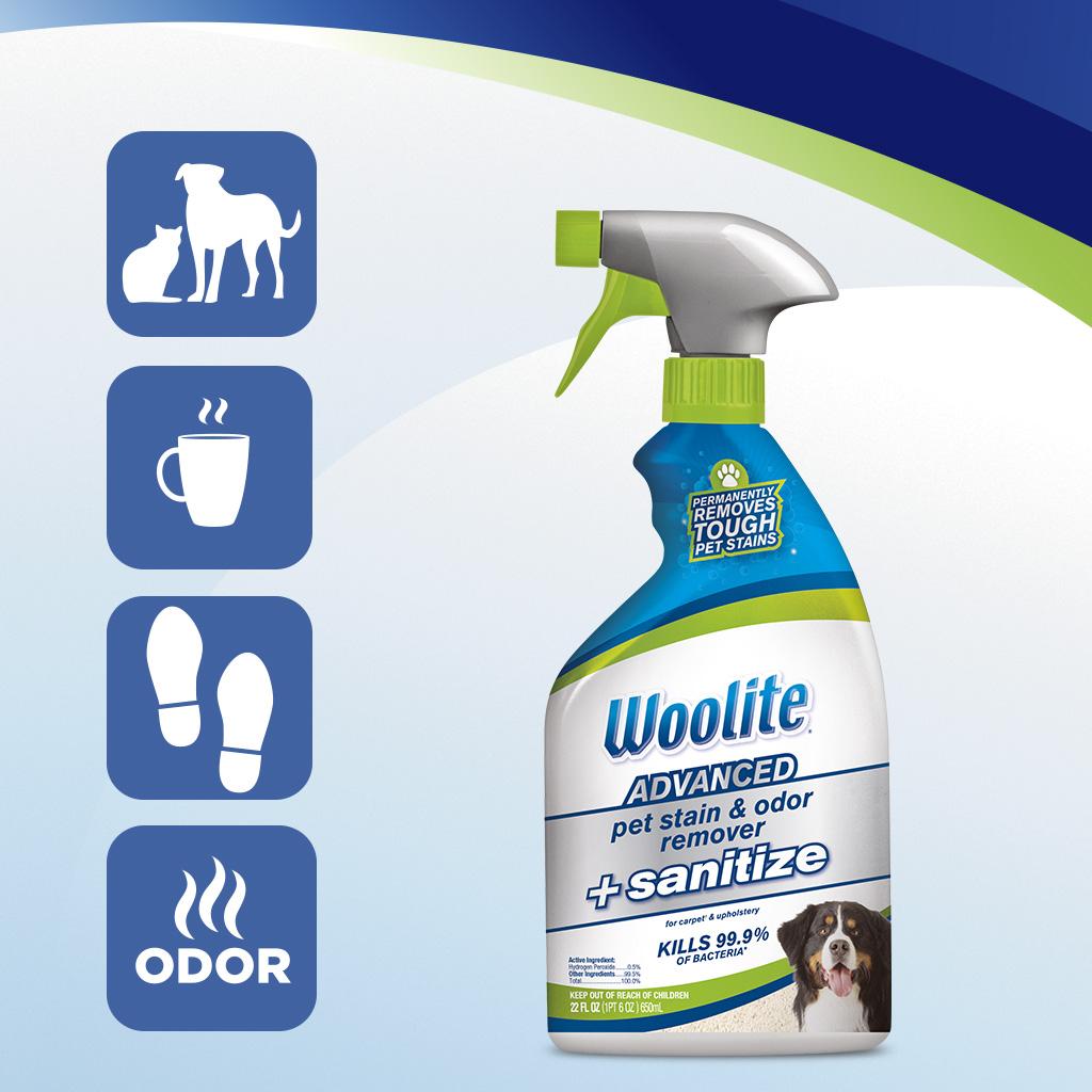 Woolite INSTAclean Permanent Stain Remover, 22oz (Pack of 2