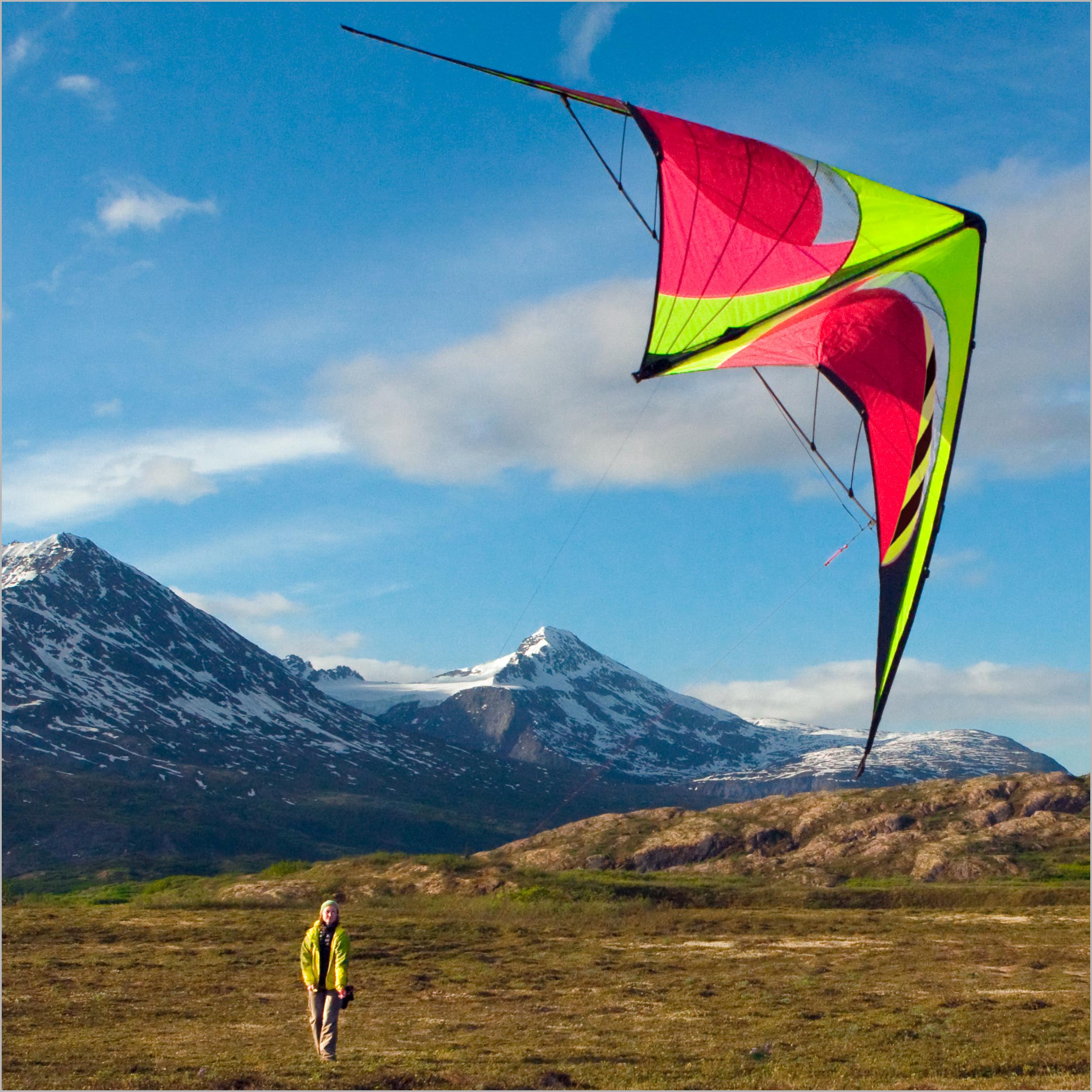 Prism Quantum Dualline Stunt Kite, Citrus Amazon.ca Sports & Outdoors