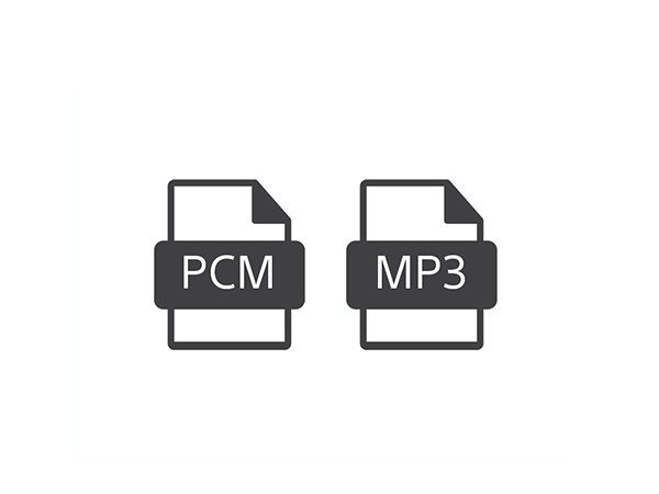 Linear PCM & MP3 recording 