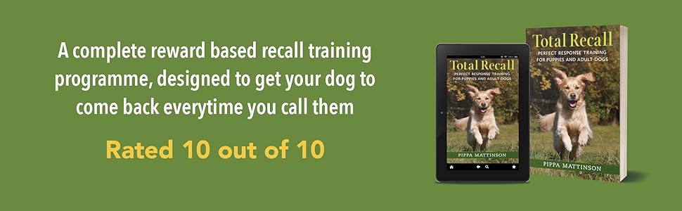 dog recall, dog training, puppy training, pippa mattinson, rescue dog training, gundog training