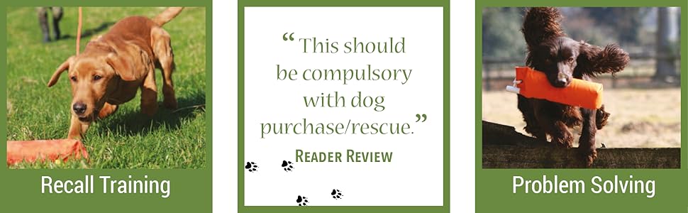 dog training, puppy training, pippa mattinson, puppy recall, dog recall, gundog training