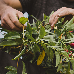 Small manufacture image 3