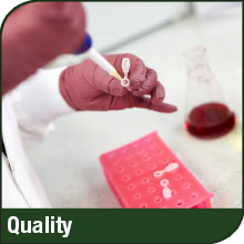 Small manufacture image 5