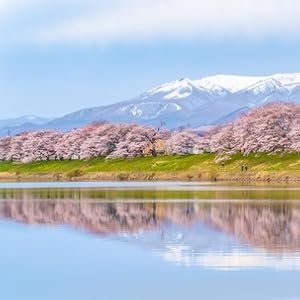 一目千本桜