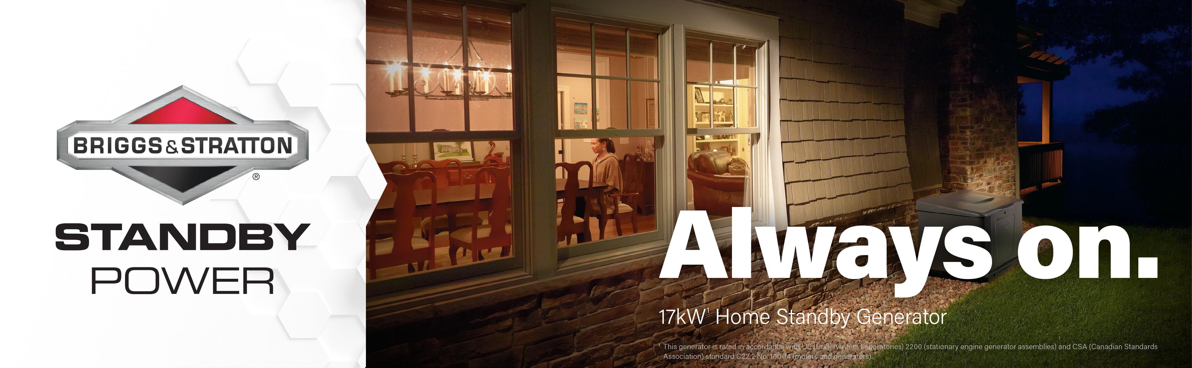 Briggs & Stratton Power Products 40554 17kW Standby