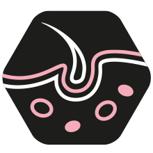 Icona supporta la salute della cute