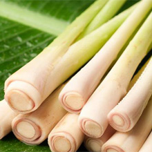 Lemongrass