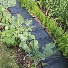 Small manufacture image 6