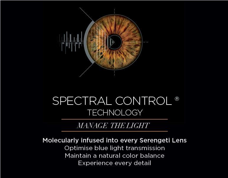 Serengeti Medium Aviator Sunglasses: Amazon.ca: Sports