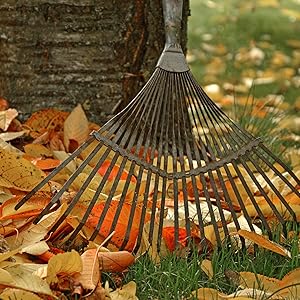 old farmer's almanac