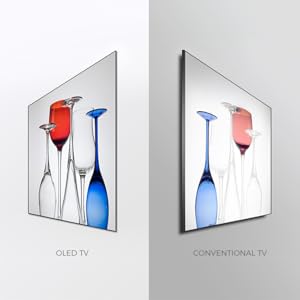 angulo de vision amplio