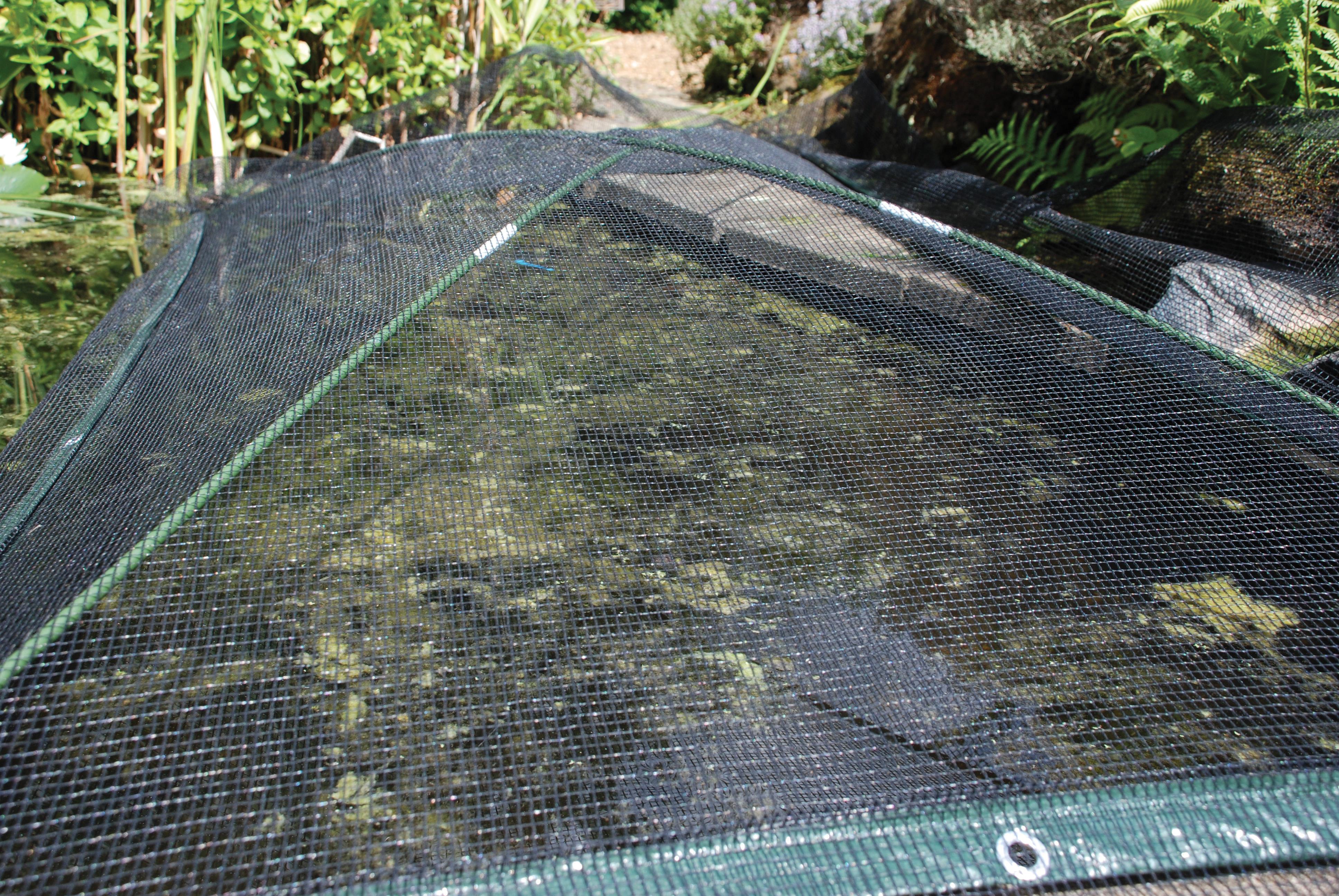 Defenders 2.4 x 1.2 m AllinOne Kit with PopUp Pond Cover (Humane