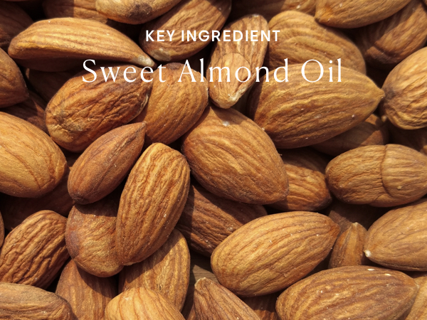 Sweet Almond Oil