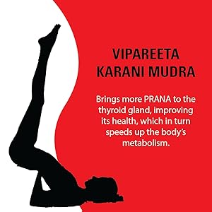 Review Yoga And Diet For Weight Loss 4 Best Seller , Yoga Books