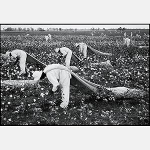 Conversations with the Dead: Photographs of Prison Life with