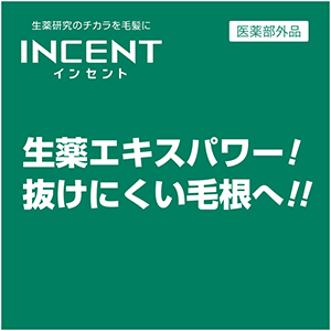 インセント③
