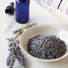 Ratgeber, Gesundheit, Hausapotheke, Selbermachen, Heilmittel, Hausmittel, Reader's Digest