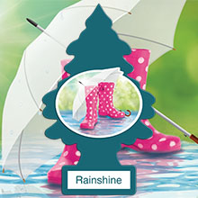 LITTLE TREES, Rainshine