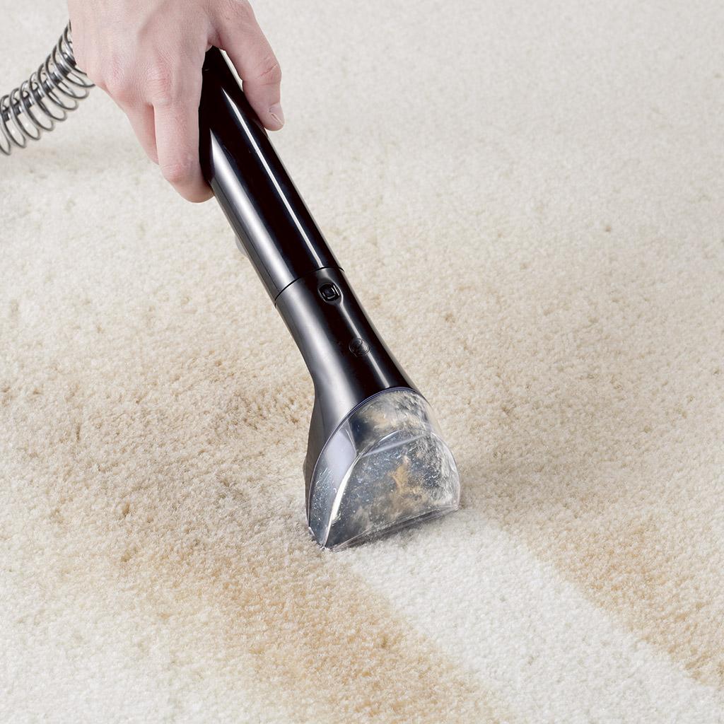 Bissell DeepClean Deluxe Pet Carpet Cleaner and Shampooer