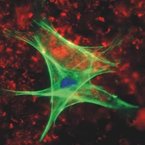 Small manufacture image 6