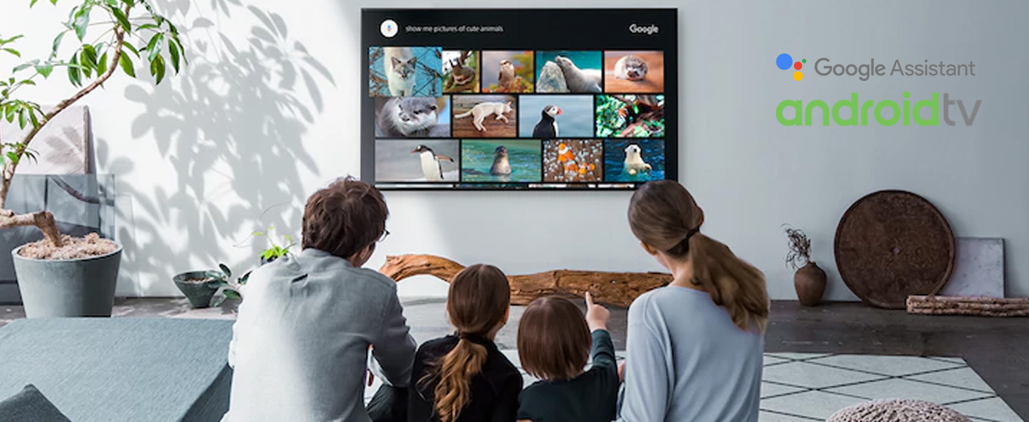 Sony Bravia KD60XF8305BU 60Inch 4K HDR Ultra HD Smart Android LED TV