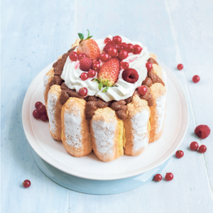 趣味・スポーツ・実用 LE LAROUSSE DES DESSERTS 趣味・スポーツ・実用 LE LAROUSSE DES DESSERTS 趣味・スポーツ