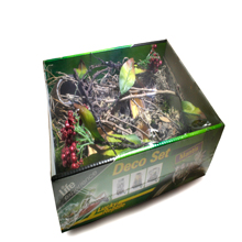 Mantis-Deko-Set