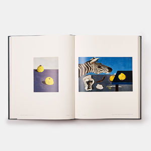 洋書 Lucian Freud Martin Gayford Phaidon Lucian Freud: Gayford, Martin, Dawson, David, Holborn, Mark