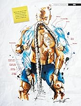 упражнения с канатом. канаты какие мышцы работают. упражнения с канатом. упражнения с канатом мышцы. упражнения с канатом кроссфит.