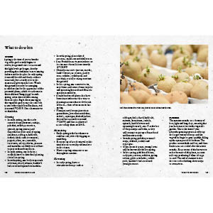 Small manufacture image 3