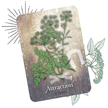 Petroselinum crispum;parsley;attraction;attention;focus;opportunities;oracle;herbal;magick;magic