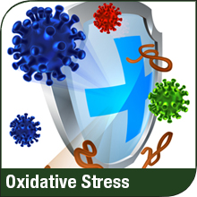 Oxidative Stress