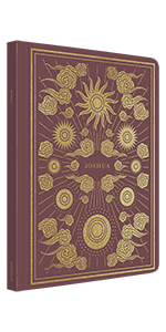 ESV Illuminated Scripture Journal: Joshua