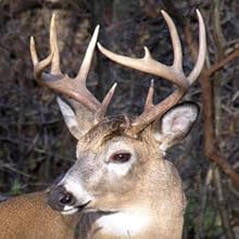 Small manufacture image 5