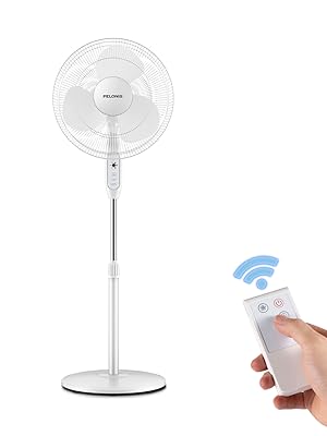 standing fan