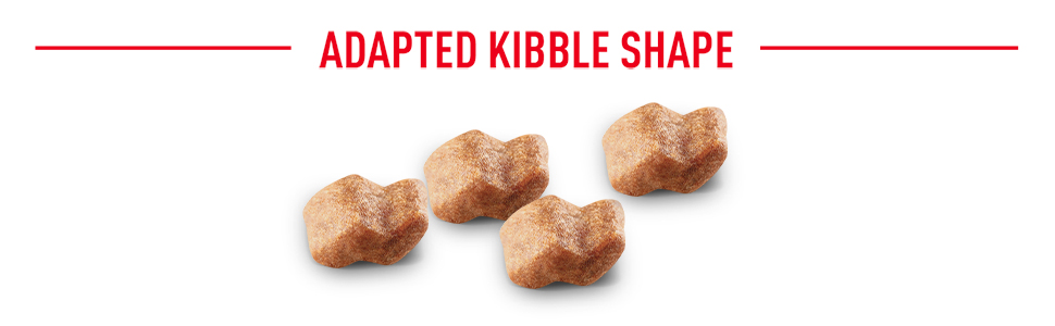 Tailor Made Nutrition For Boxer Puppy - Adapted Kibble Shaped Food Tailor Made Nutrition For Boxer Puppy - Adapted Kibble Shaped Food