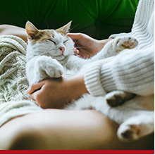 woman playing with cat