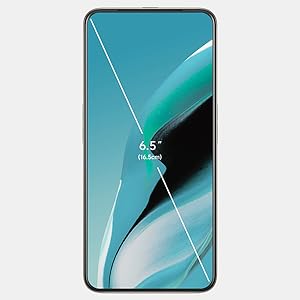 Screen-to-Body Ratio